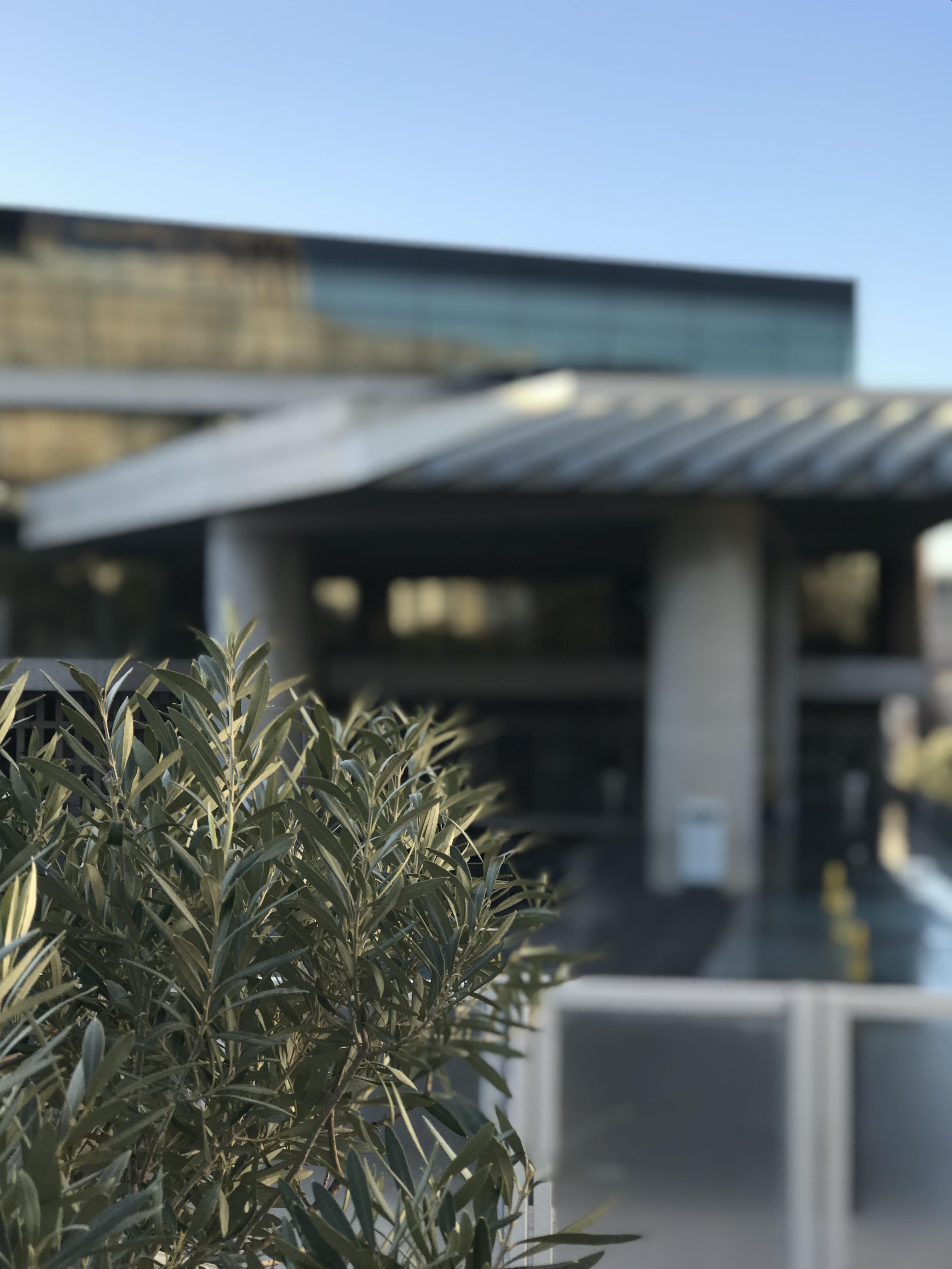 acropolis-museum